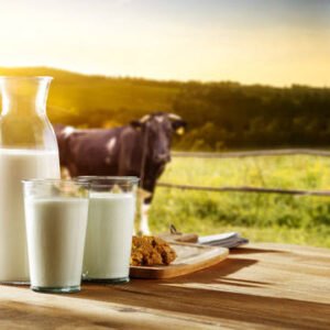 DAIRY PRODUCT