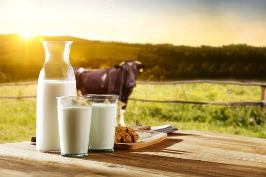 Dairy Product
