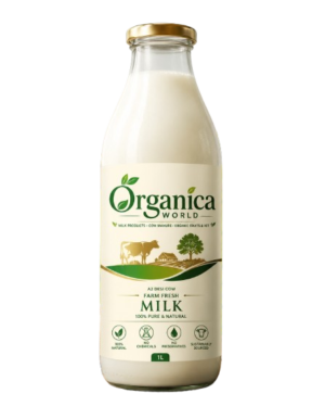 MILK BOTTAL Buffalo Milk
